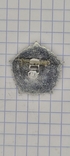 Badge "Ready for Labor and Defense of the USSR. IV degree, photo number 3