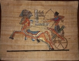Египетский папирус, фото №2