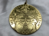 Памятна медаль IX Олімпійські Ігри Аммстердам 1929 рік копія, фото №5