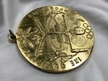Памятна медаль IX Олімпійські Ігри Аммстердам 1929 рік копія, фото №7