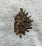 Крило ківерного орла, фото №2