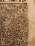 Псалтырь 1705 год с гравюрами Киево - Печерская лавра ( раритет) 18 х 15 см ( экспертиза), фото №9