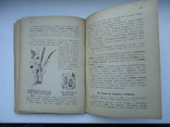 Ужгород 1942 р живий свет угорських краев, фото №6