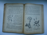1924 р Наука природи для горожанских школ Подкарпатской Руси 3-4 ч., фото №6