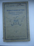 Седлачек Луговий Ужгород 1926 р Животноводство, фото №2