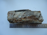 Fragment of tusk, photo number 6