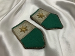 Петлиці Віце-лейтенант Збройні сили Австрії, фото №6