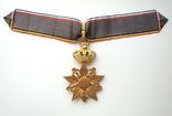 Крест командора Франко-Бельгийского легиона, фото №9
