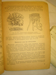 Phylloxera and measures to combat it.1941, photo number 7