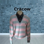 Cracow стильный мужской реглан в полоску трикотажный имитация рубашки 48/50, фото №2
