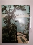Фото картинка именная. 1977г. Море Сочи, фото №5