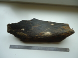 Fragment of a fossilized animal bone, photo number 2