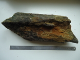 Fragment of a fossilized animal bone, photo number 6