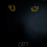 Andrew Lloyd Webber / Cats (Deutsche Originalaufnahme) // 1986 / Vinyl / LP / Stereo, photo number 3