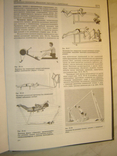 General theory of training athletes in Olympic sports., photo number 8