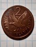 Монета Фолклендські острови 2 пенса, фото №3