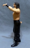 Khali Great WWE Toy Stingless Aggression Articulated Detailed Figure, photo number 7