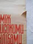 Плакат афіша кіно Між високими хлібами художник Лящук, фото №5