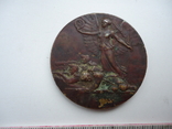 Венгрия 1914 г настольная медаль ПМВ Ф.Иосиф, фото №3