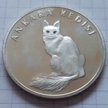 Туреччина, ангорська кішка, 20 нових лір, срібло, 2005 рік, фото №6