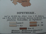 Болезни в Германии в начале 20 века. 244х 305 мм,1910-е гг, нем. язык, фото №6