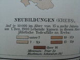 Болезни в Германии в начале 20 века. 244х 305 мм,1910-е гг, нем. язык, фото №7