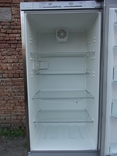Холодильник MIELLE No Frost 198x60 см №-8 з Німеччини, numer zdjęcia 6