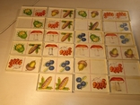 Children's dominoes from the USSR, photo number 2
