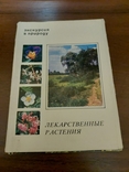 Лекарственные растения Фотоальбом карточки открытки СССР, фото №2