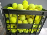 Тенісні м'ячі без кошика 54шт., фото №2