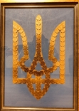 Картина з монет Тризуб України, photo number 4