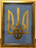 Картина з монет Тризуб України, photo number 2