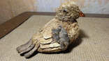 Воробей. Авторская птица из природных материалов Lorenzo Magarelli, фото №2
