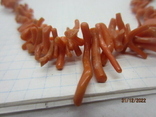 Coral beads, photo number 13