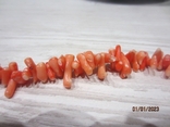 Coral beads, photo number 6