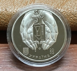 Medal of the National Bank of Ukraine "Ukrainian National Museum in Chicago" / 2022, photo number 5