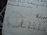 Закарпаття 1890 р документ штамп Берегово, фото №4