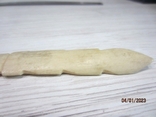 Knife for converts bone, photo number 4