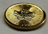 5 долларов Канада 1/10 унции, photo number 9