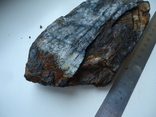 Fragment of a momont tooth., photo number 3