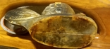 Курочка солонка ( целлулоид ), фото №6