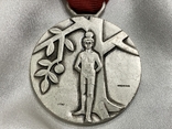 Стрілецька медаль 1964 рік Швейцарія, фото №3