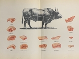 Книга о вкусной и здоровой пище 1954, photo number 12