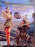 The collectible plaque is a poster of Pin Up in vintage style., photo number 4