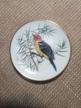 3 Коллекционных блюдца Певчие птицы. Ручная роспись Franklin Porcelain 1981, фото №6