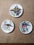 3 Коллекционных блюдца Певчие птицы. Ручная роспись Franklin Porcelain 1981, фото №2