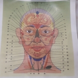 Плакат Биологически активные точки с обозначениями на лице человека 45х32 см, photo number 4