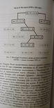 Максим Шапир. Universum Versus. Язык - стих - смысл в русской поэзии XVIII-XX веков, фото №12