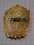 Badge "Drummer of the 10th Five-Year Plan", photo number 3