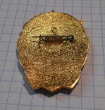 Badge "Drummer of the 9th Five-Year Plan", photo number 3